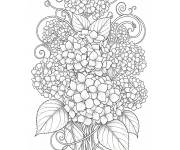 Coloriage Hortensia zen