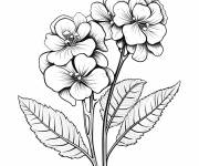 Coloriage Imagier de Hortensia