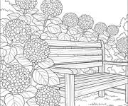 Coloriage Jolies Hortensia dans le jardin