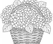 Coloriage Panier de Hortensia
