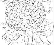 Coloriage Papillons autour de Hortensia