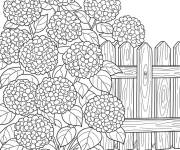 Coloriage Paysage d'une Hortensia dans le jardin