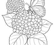 Coloriage Paysage d'une papillon sur une Hortensia