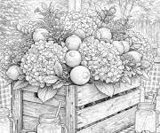 Coloriage Paysage de Hortensia pendant l'&eacute;t&eacute;