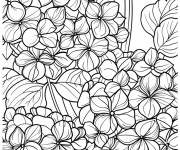 Coloriage silhouette Hortensia