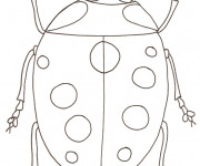 Coloriage Coccinelle simple