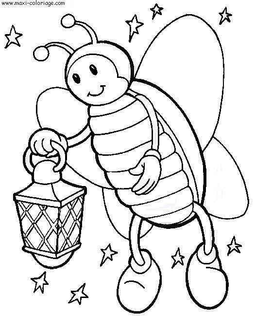 Coloriage Insecte au jardin pendant la nuit dessin gratuit à imprimer