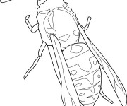 Coloriage Insecte en couleur