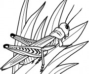 Coloriage Insecte en Hiver