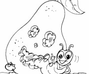 Coloriage Insecte et La Poire