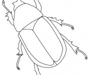 Coloriage Insecte facile