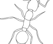 Coloriage Insecte fourmi à colorier