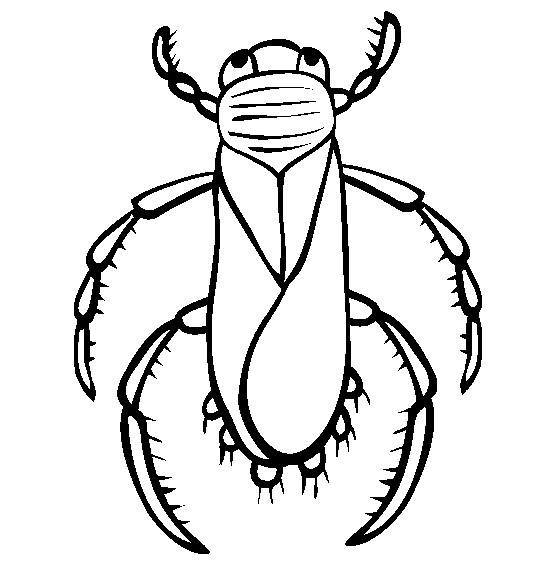 Coloriage et dessins gratuits Insecte pour décoration à imprimer