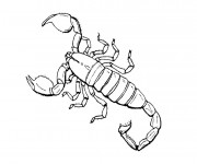 Coloriage Insecte Scorpion