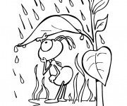 Coloriage Insecte sous la pluie