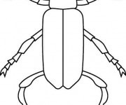Coloriage Insecte stylis&eacute; maternelle