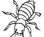 Coloriage Insecte sur ordinateur