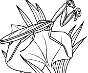 Coloriage Insecte te regarde