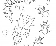 Coloriage et dessins gratuit Insectes à colorier à imprimer