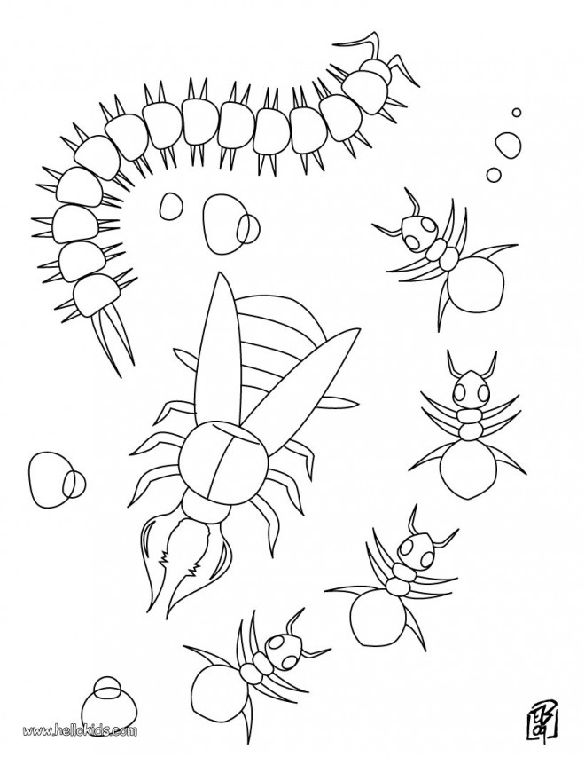 Coloriage Insectes à colorier dessin gratuit à imprimer