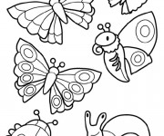 Coloriage Insectes en couleur facile