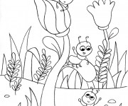 Coloriage Insectes et Les Fleures