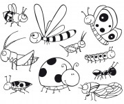 Coloriage Insectes ray&eacute;s