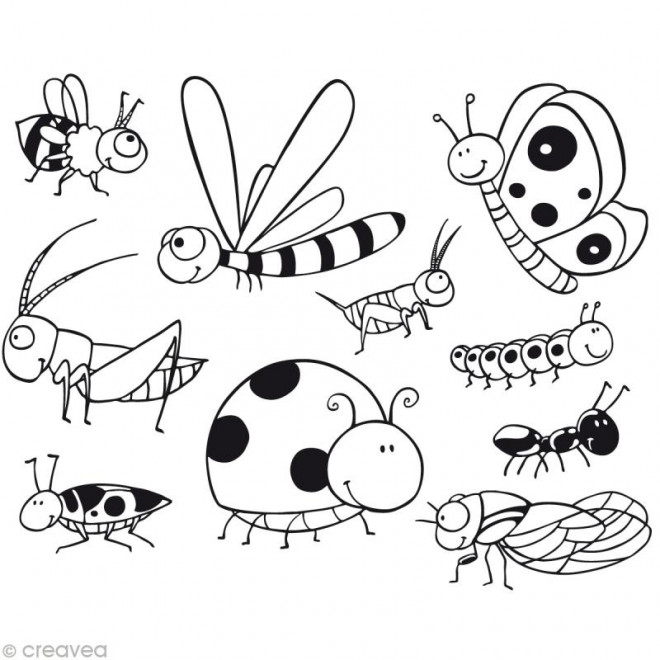 Coloriage Insectes rayés dessin gratuit à imprimer