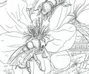 Coloriage Insectes r&eacute;alistes en noir