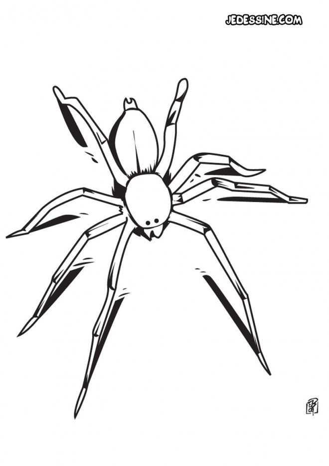 Coloriage Araignee A Imprimer