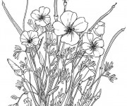 Coloriage Fleurs Adultes au crayon