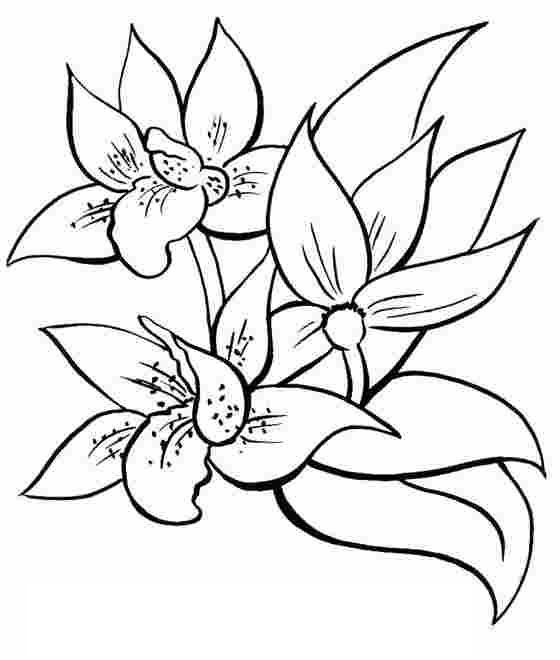 Coloriage et dessins gratuits Fleurs stylisés à imprimer