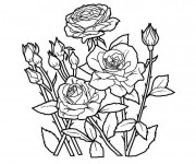 Coloriage Jardin Fleurs en couleur