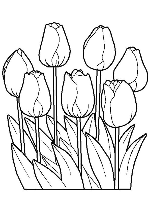 Coloriage Lotus Fleurs Dessin Gratuit à Imprimer