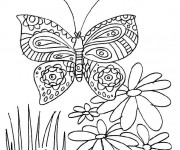 Coloriage et dessins gratuit Papillon et fleur à imprimer