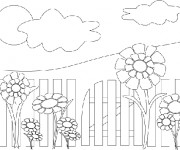 Coloriage Tournesol au jardin