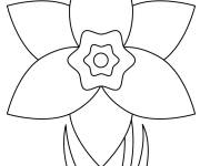 Coloriage Belle fleur de Jonquille