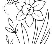Coloriage Croquis de jonquille de la nature