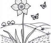 Coloriage Fleur de jonquille dans la compagne