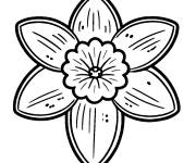 Coloriage Fleur jonquille facile