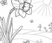Coloriage Imagier jonquille ps