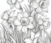 Coloriage Jardin de Jonquille