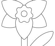 Coloriage Jonquille en maternelle