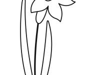 Coloriage Jonquille en noir et blanc