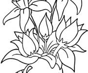 Coloriage Jonquille et des &oelig;ufs de P&acirc;ques