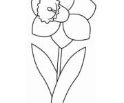 Coloriage et dessins gratuit Jonquille facile pour maternelle à imprimer
