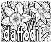 Coloriage Jonquille ou Daffodil