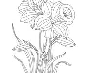 Coloriage et dessins gratuit Jonquille personnalisable à imprimer