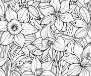 Coloriage Jonquille pour adulte