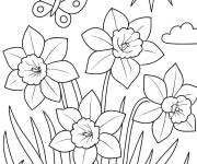 Coloriage Jonquille sous le soleil du printemps
